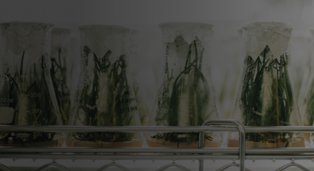 Webinar – Mintel Big Conversations: Nature Vs Science